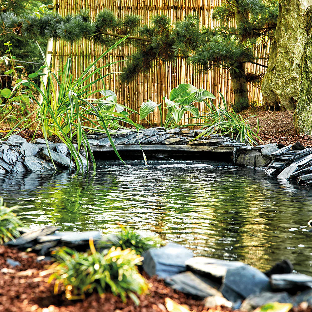 Why Should You Install An EPDM Pond Liner in Your Backyard Pond?