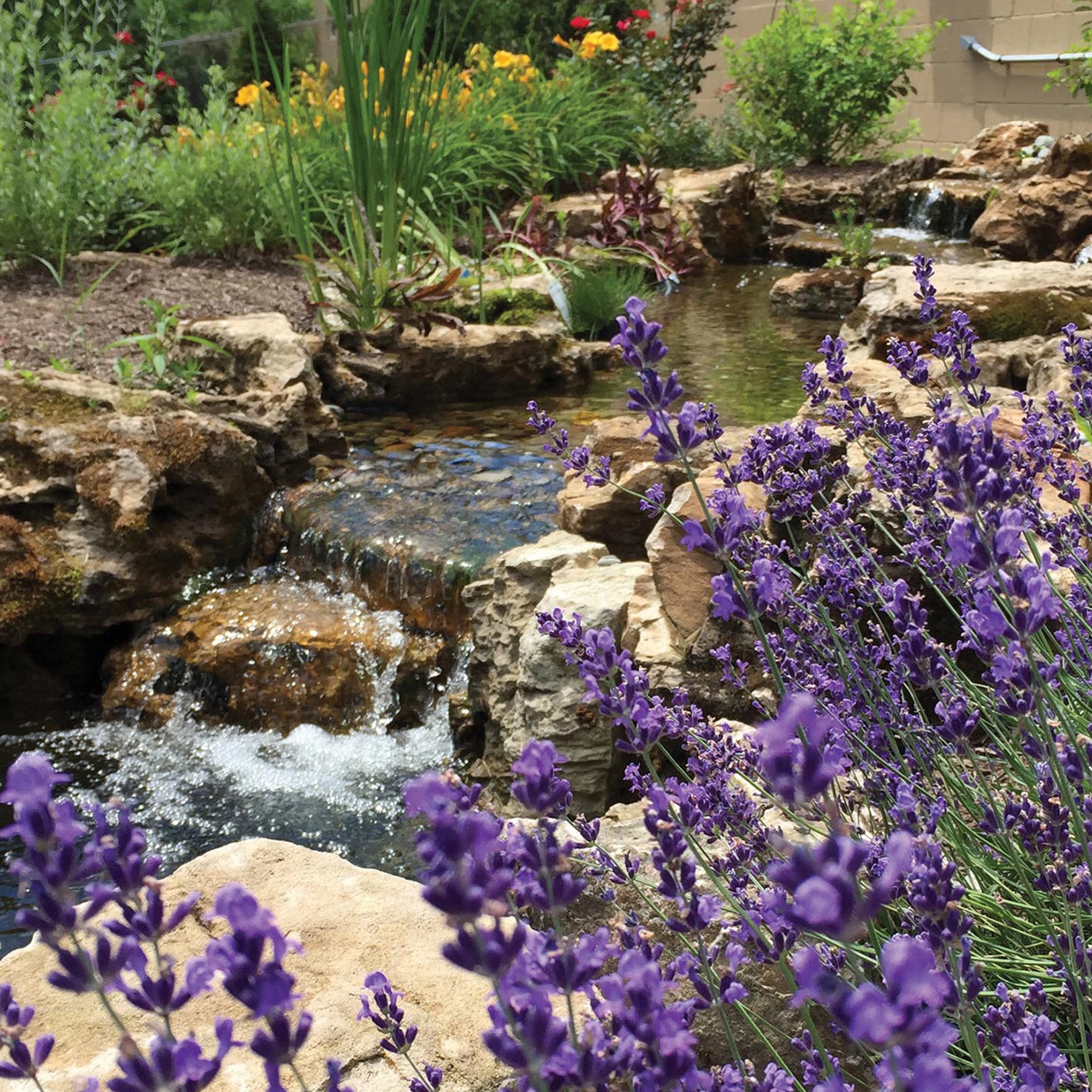 OASE FilterFalls 4700