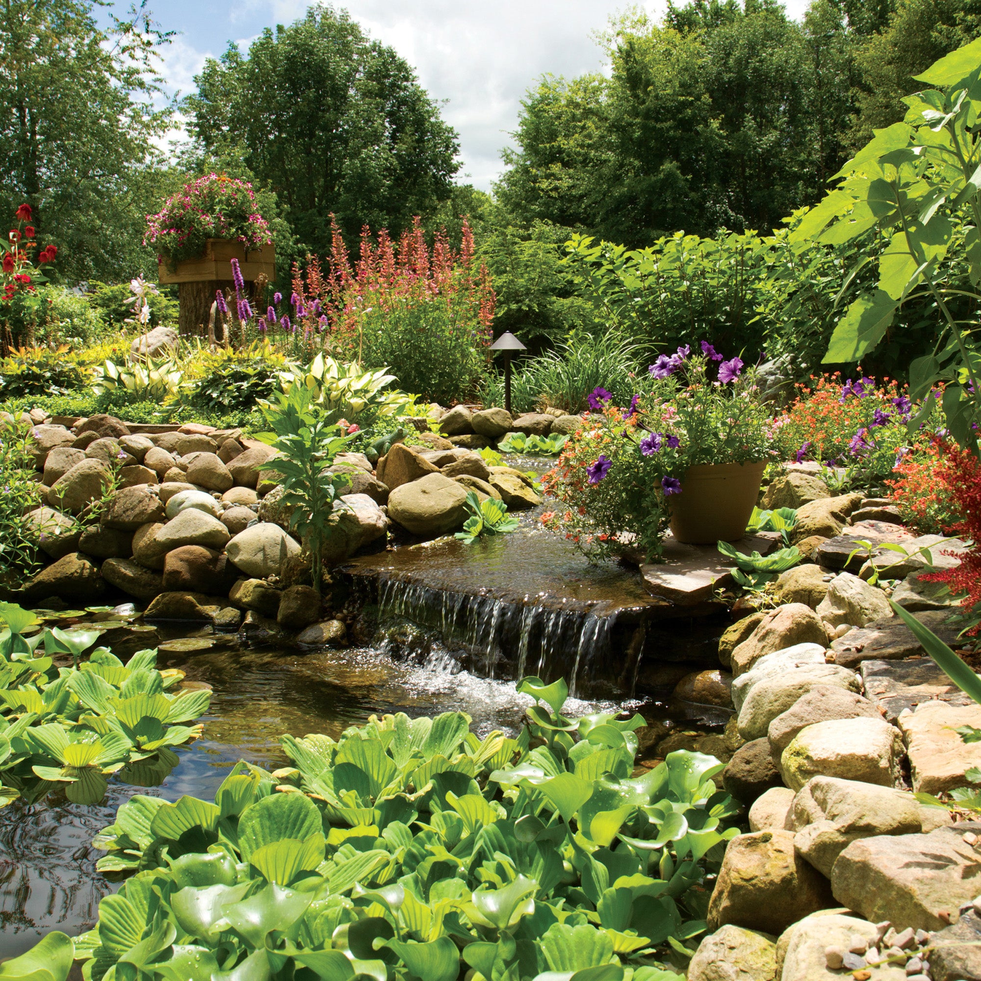 OASE FilterFalls 15000