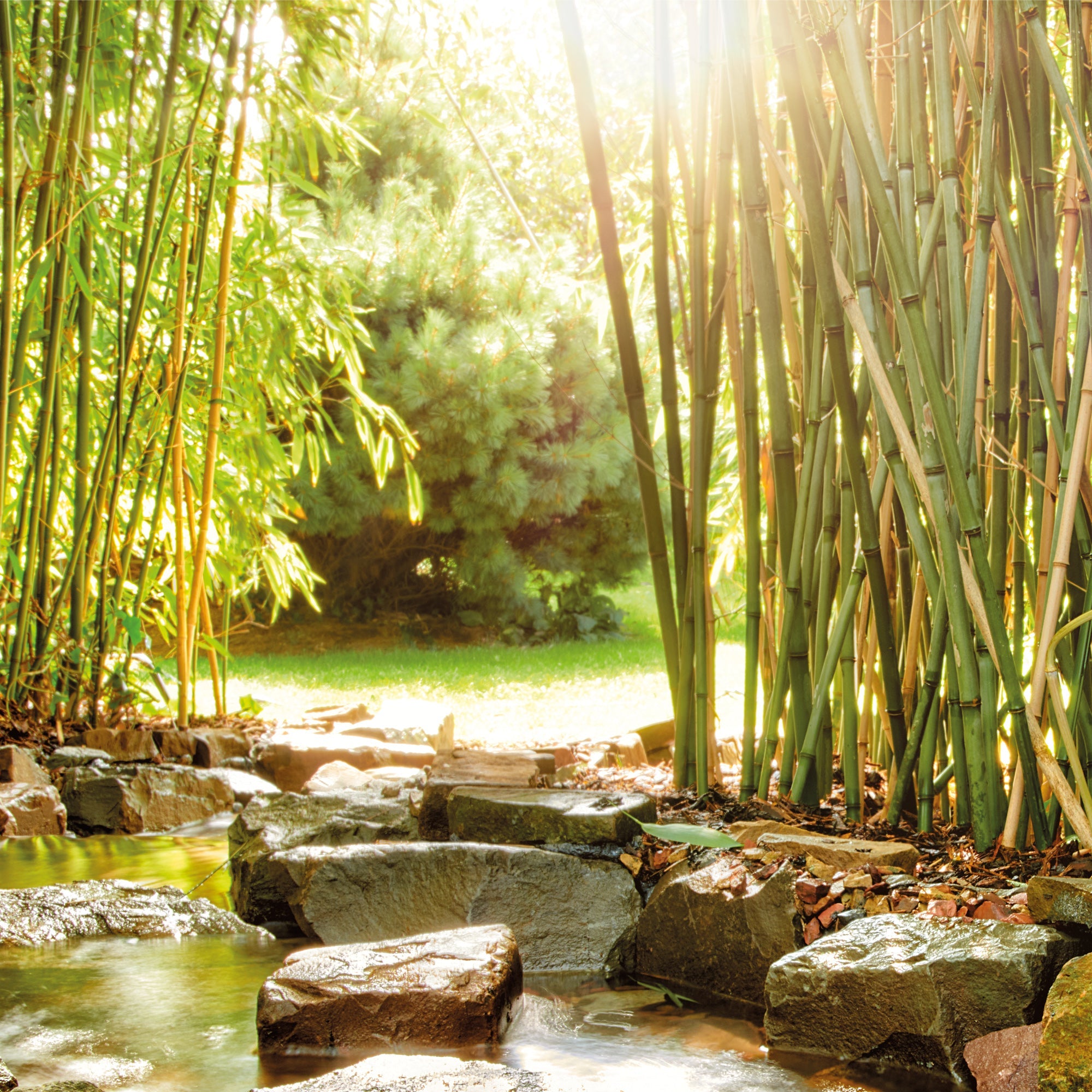 OASE AquaMax Eco Classic 3500 E