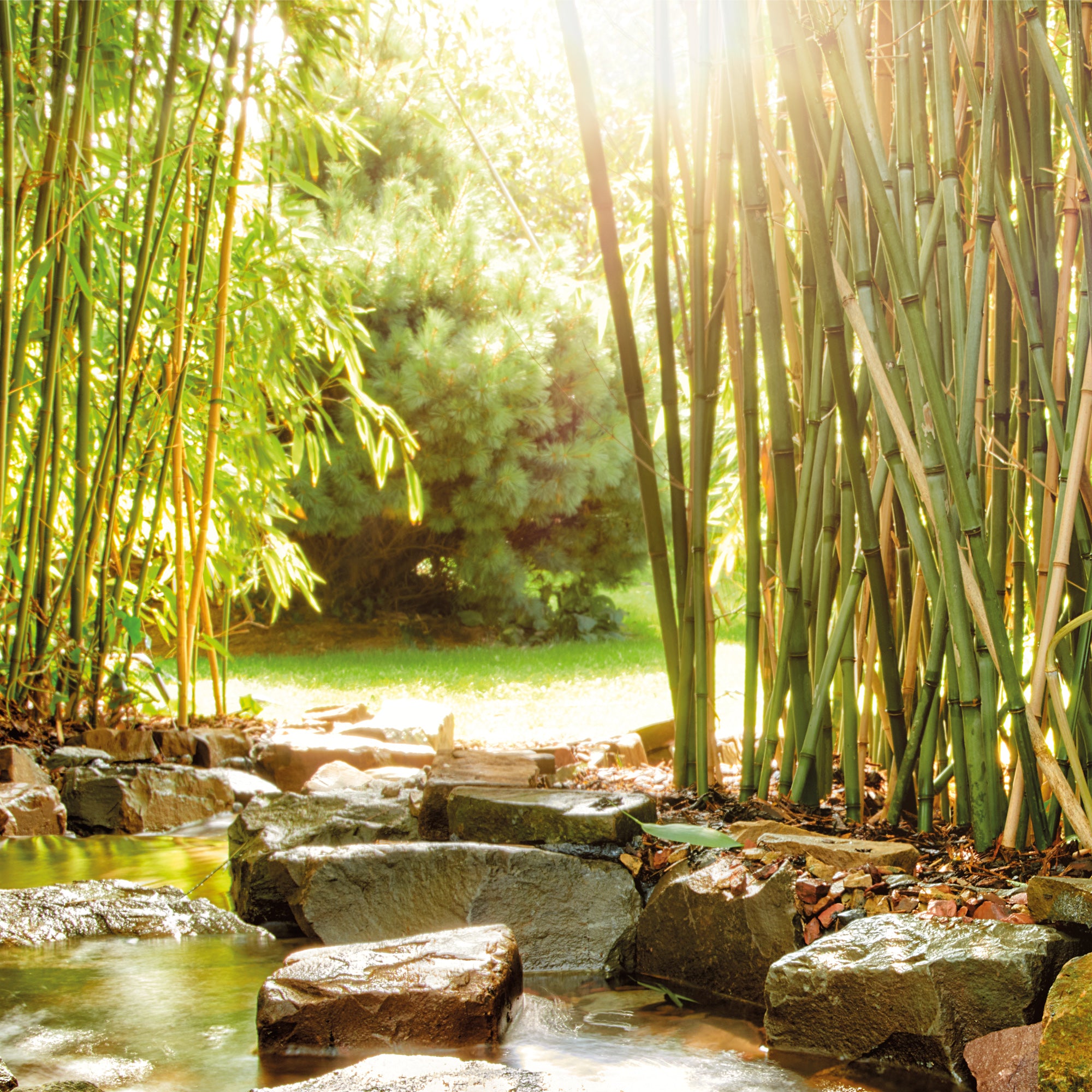 OASE AquaMax Eco Classic 2500 E