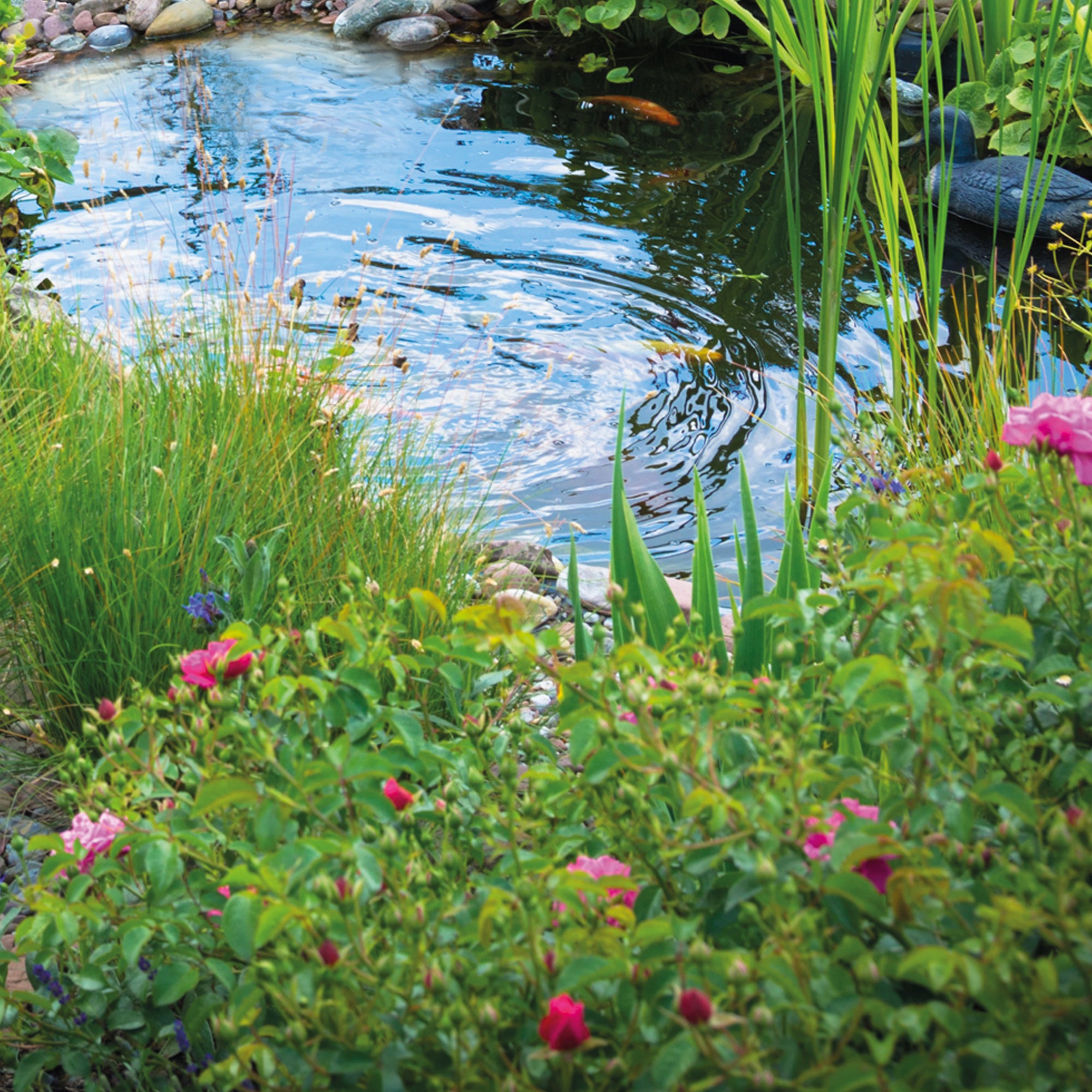 OASE AquaMax Eco Classic 8500