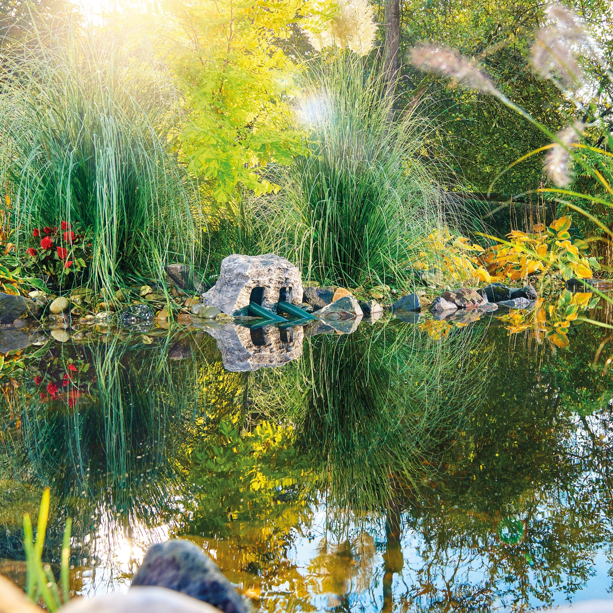 OASE FiltoClear 31000