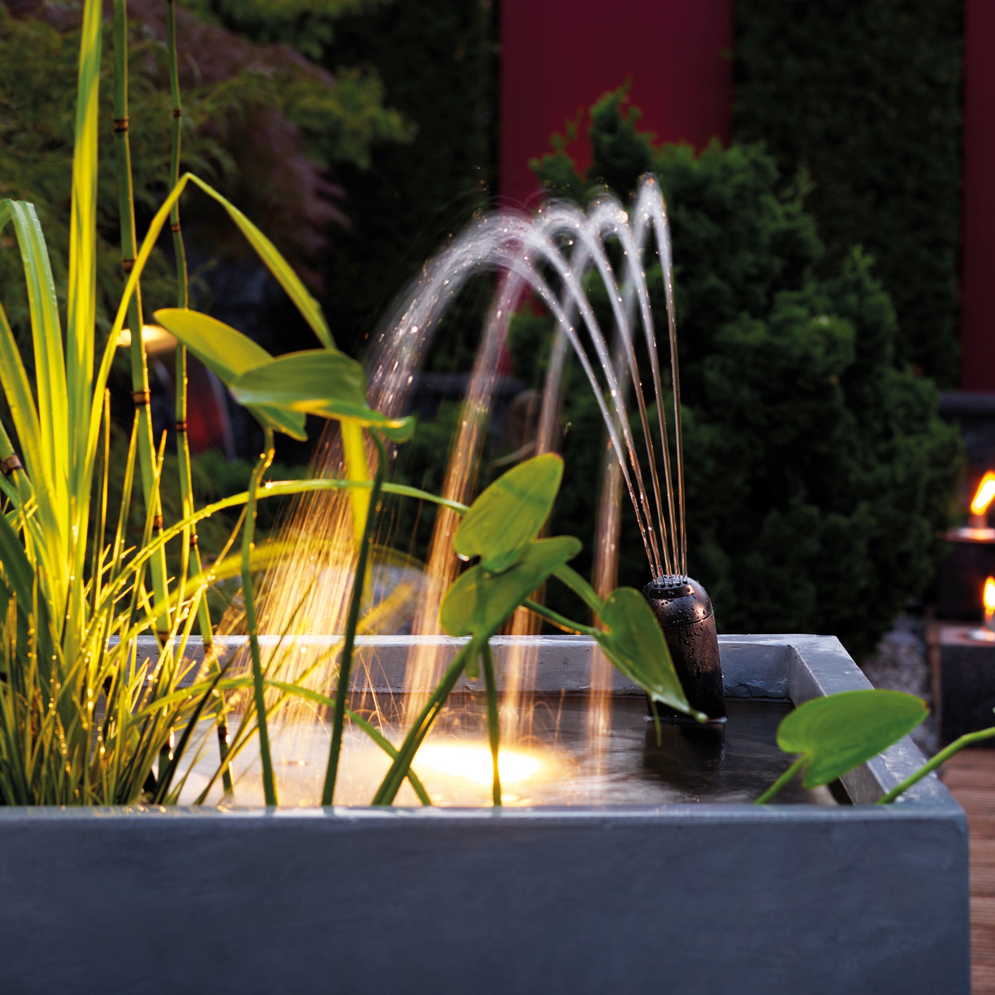 OASE Filtral UVC 6000