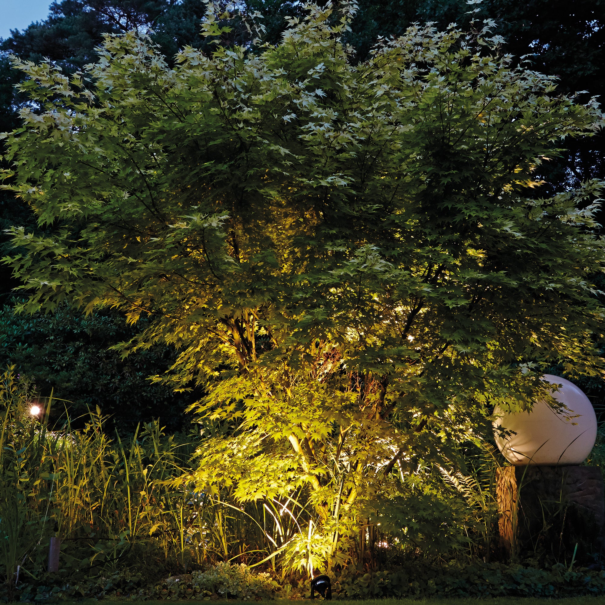 OASE LunAqua Power LED - Set 1