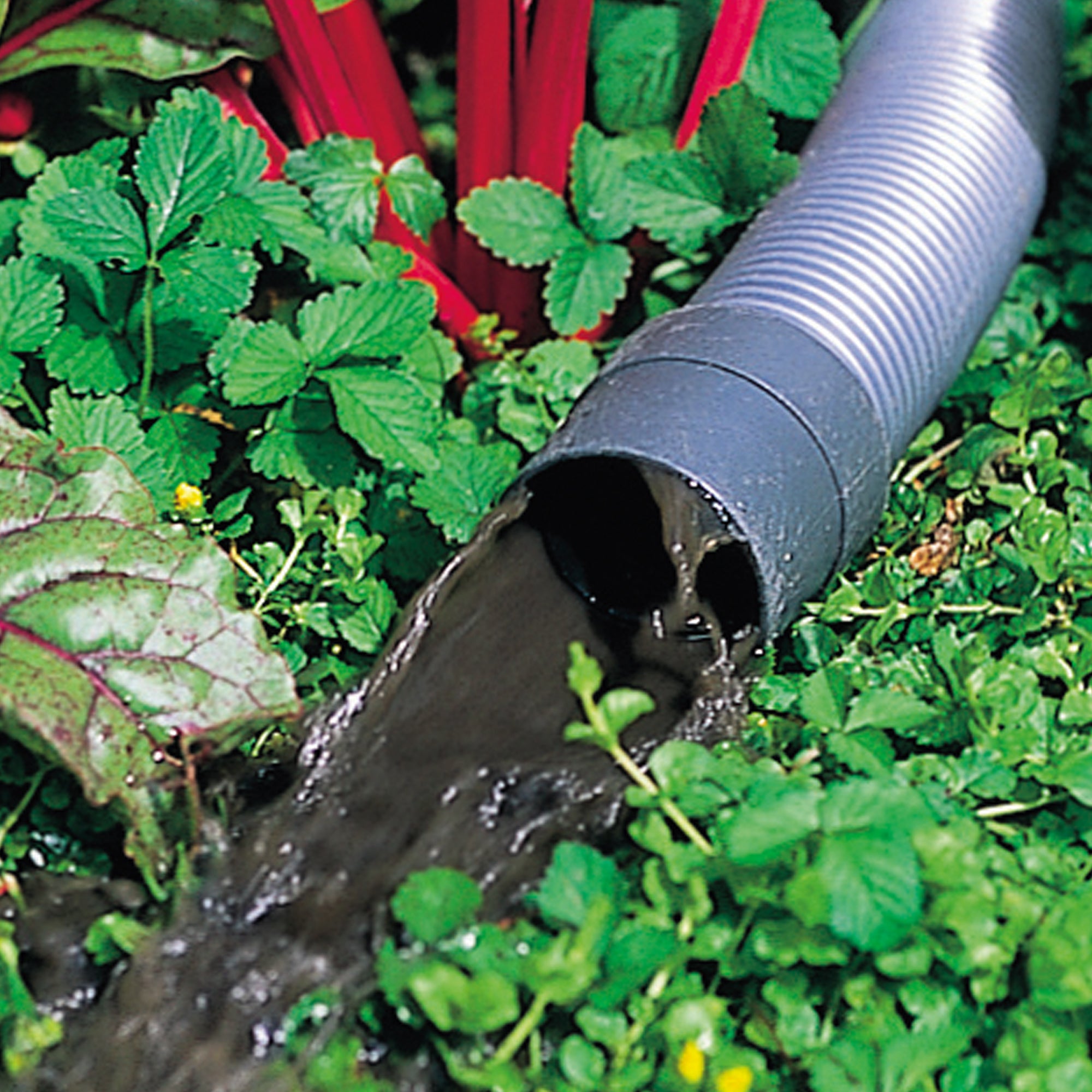 OASE PondoVac Classic