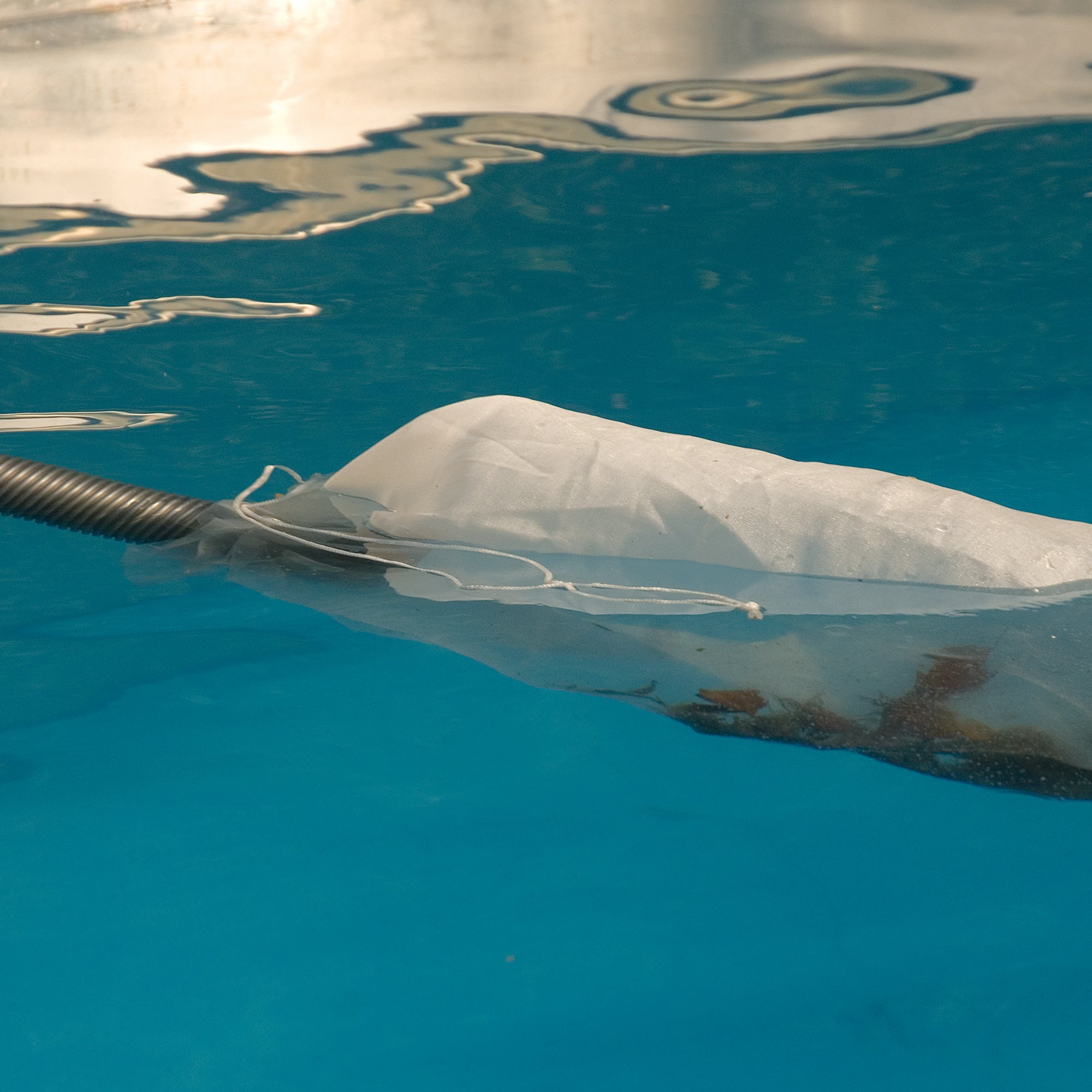 OASE PondoVac Classic