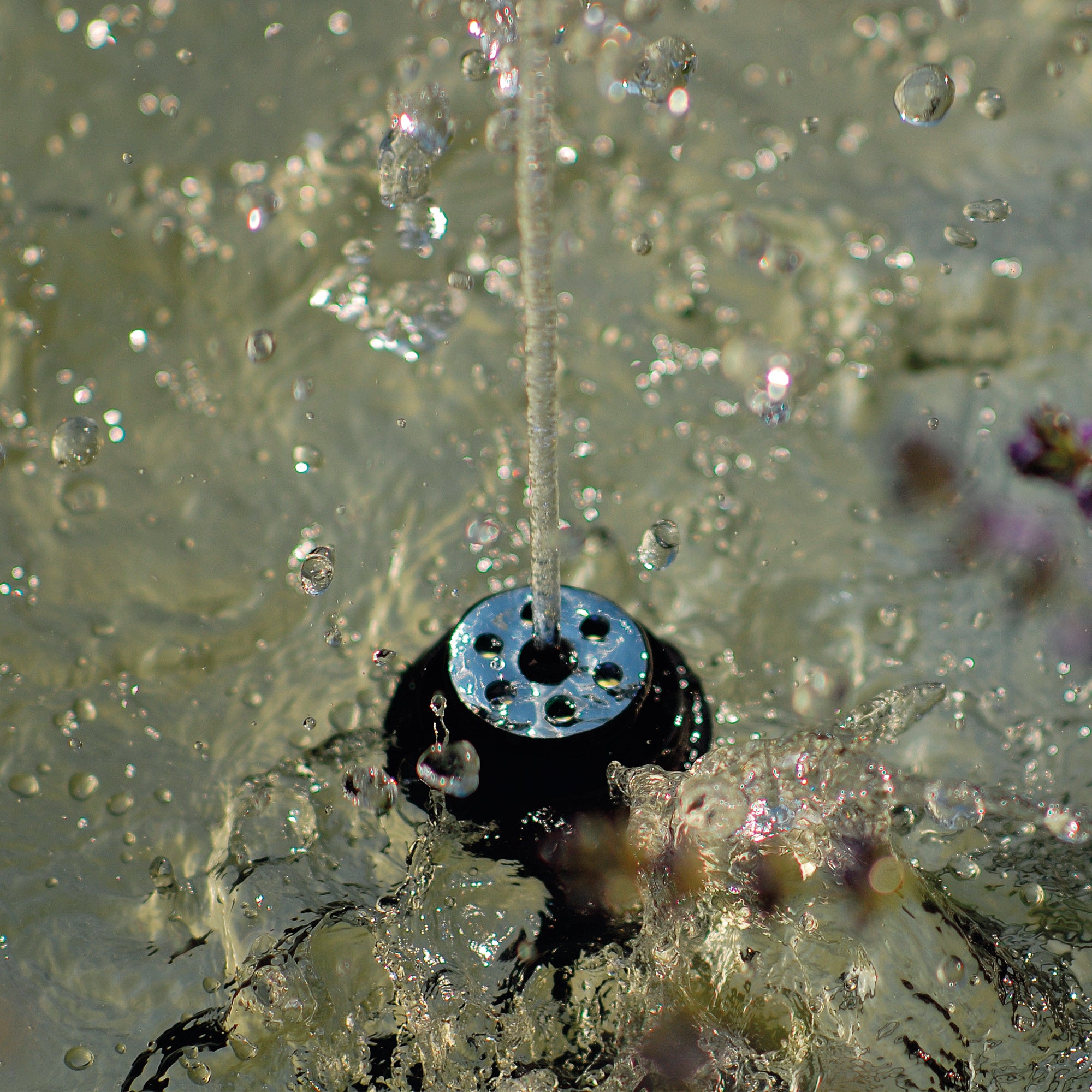 OASE Water Quintet Creative