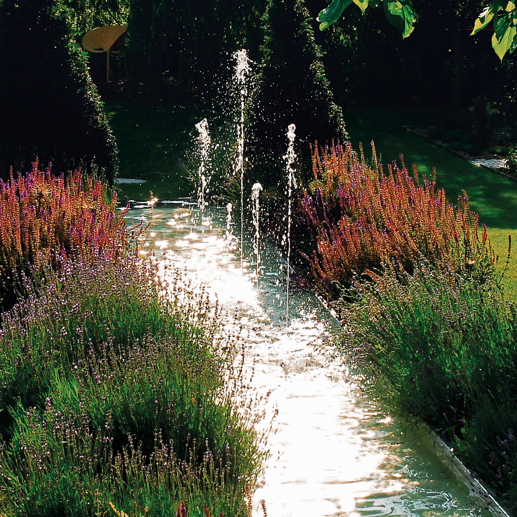 OASE Water Quintet Creative