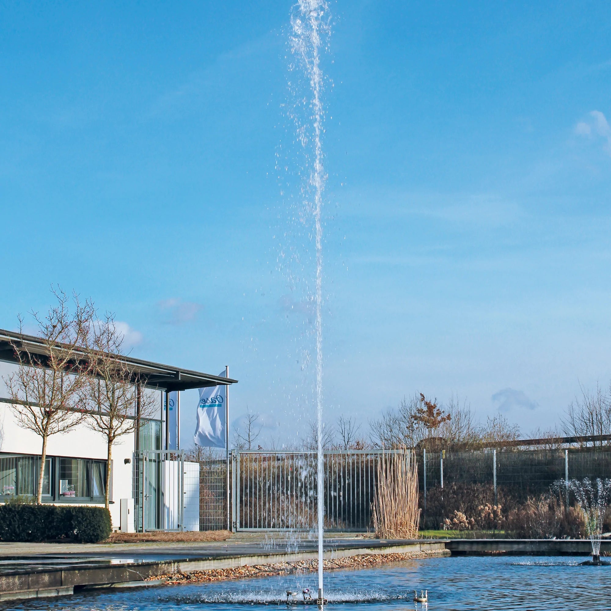 OASE Aquarius Eco Expert 36000