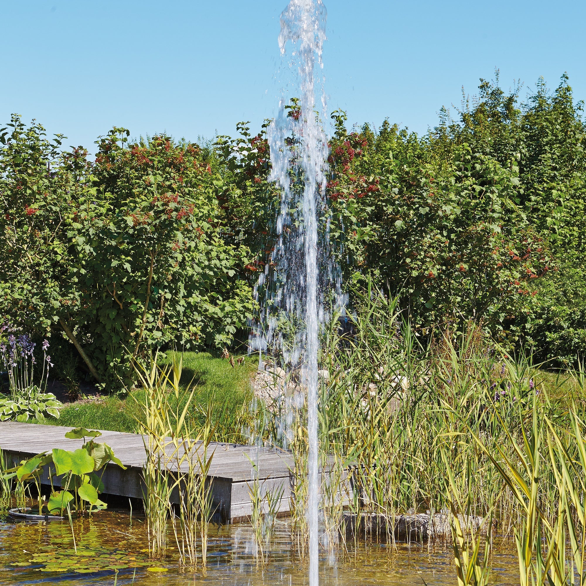 OASE Aquarius Eco Expert 44000